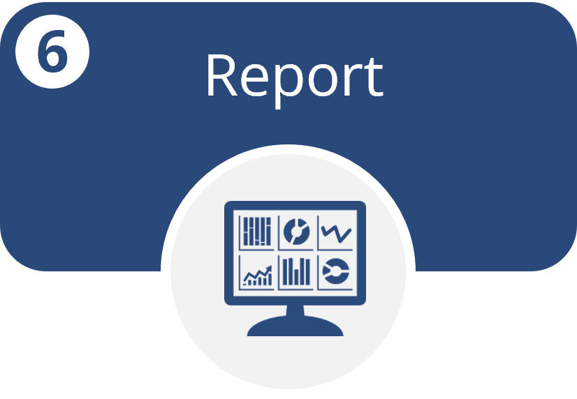 6. Report (includes icon)